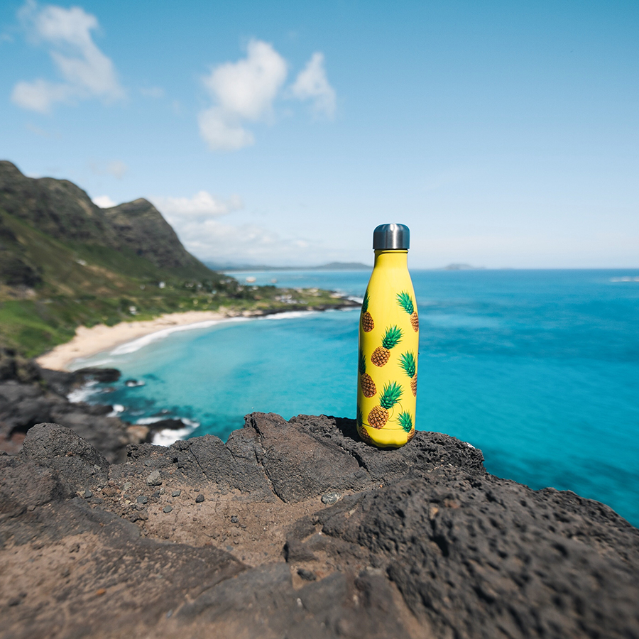 B500NIPIN Термос new icon, pineapple, 500 мл Chilly's Bottles  - Вид №1