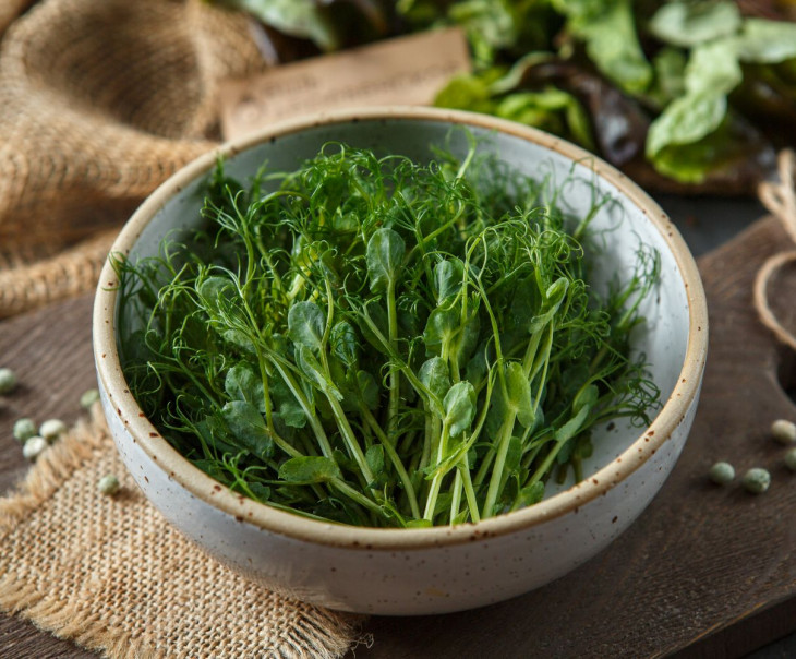 5509 Микрозелень горошка Вкусляндия  - Вид №1