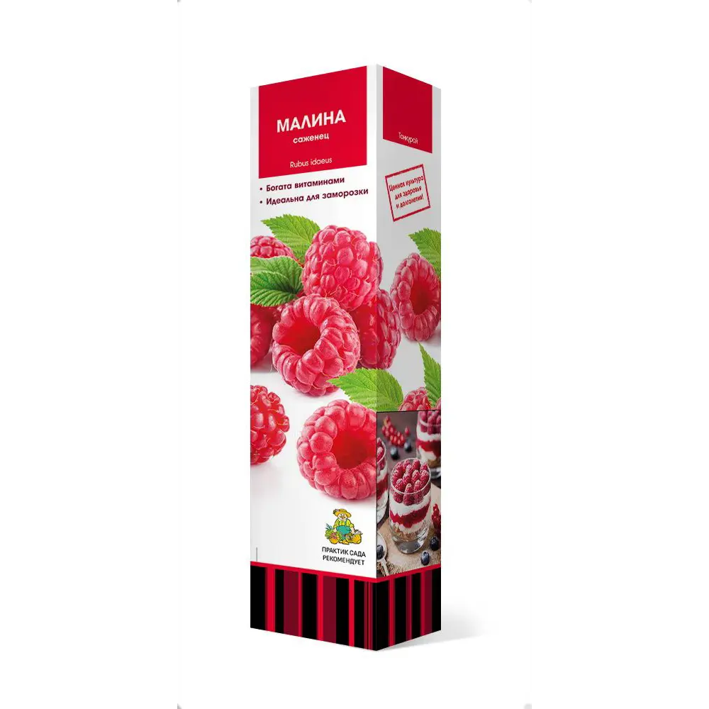 Малина Бонбонберри Ямми короб h35 см 89353448 STLM-2110660 Santreyd 