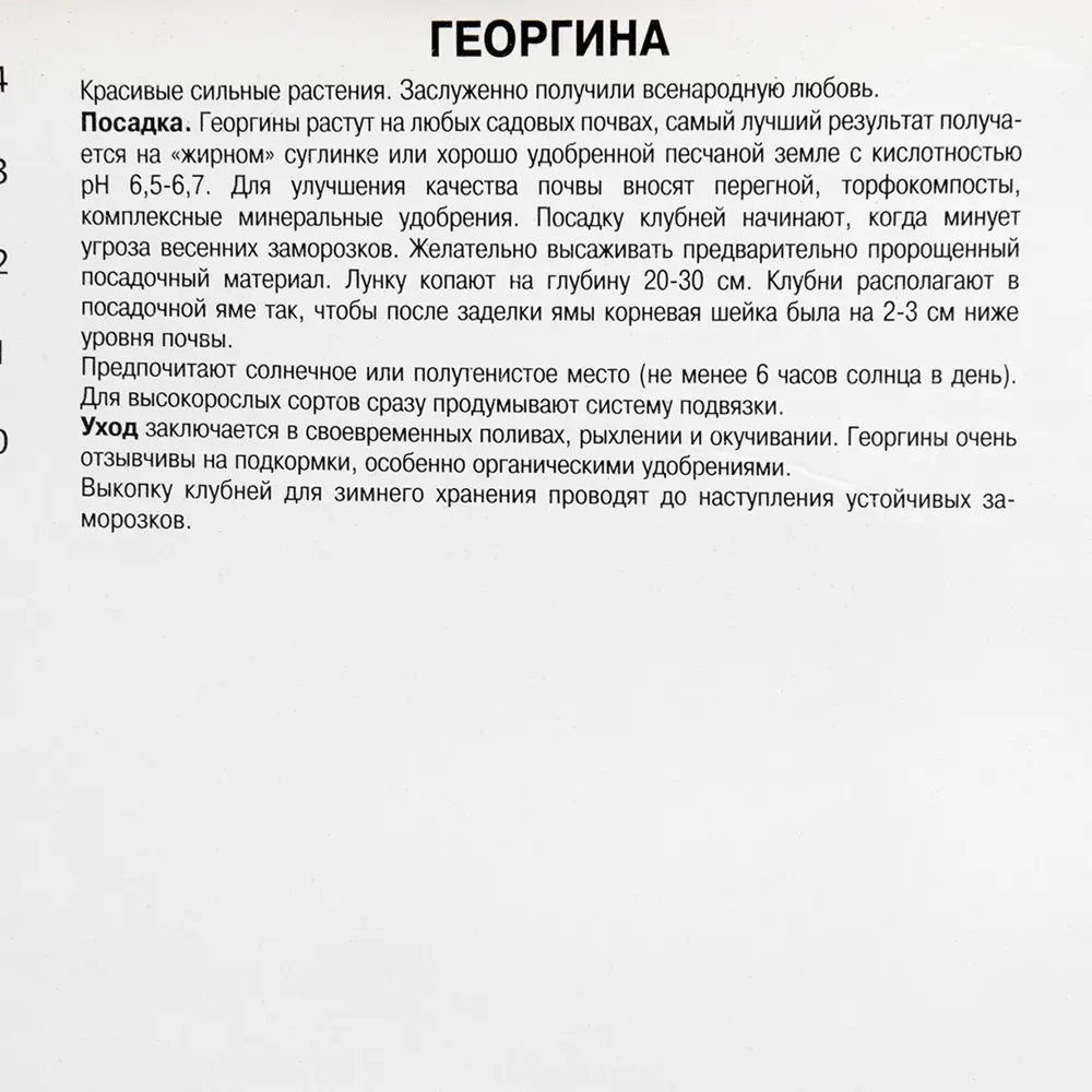 Георгины декоративные «Эдинбург», 1 шт. 82118671 STLM-2029279 Santreyd  - Вид №2