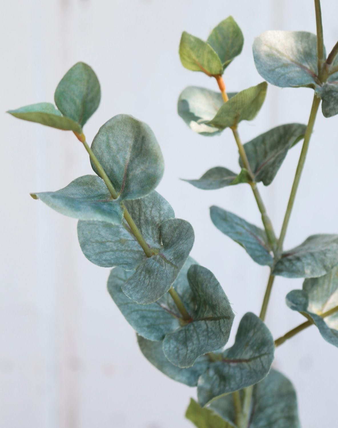 5560 883 a3 Стебель искусственного эвкалипта, 55 см, зеленый H-andreas 