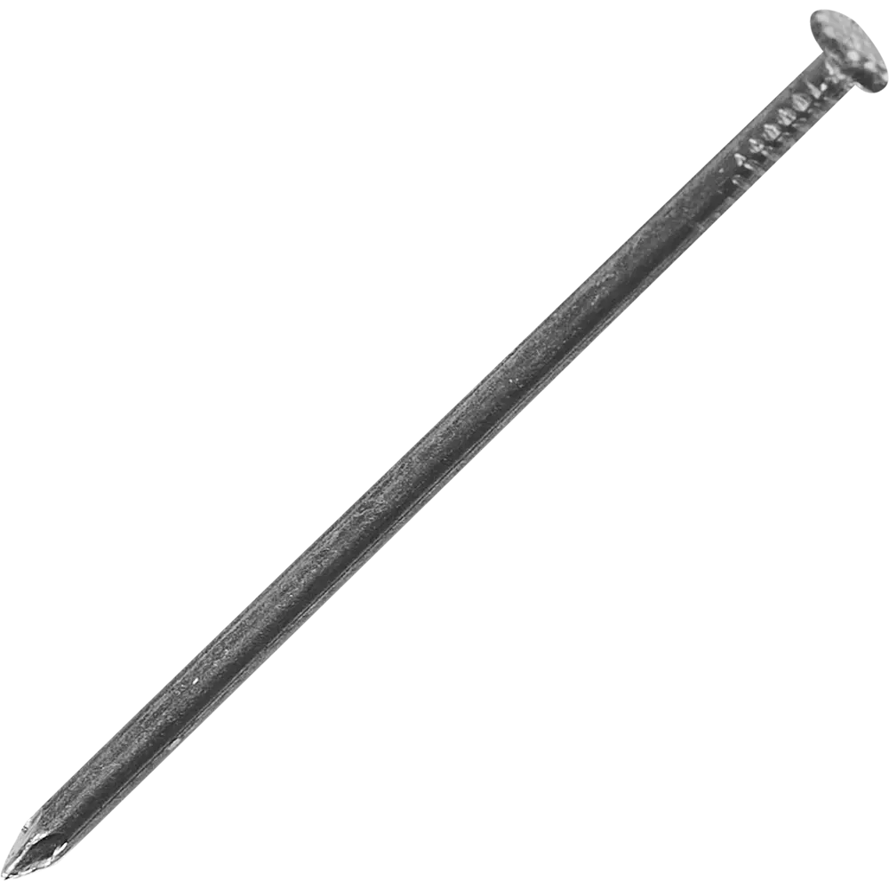 Строительные гвозди Santreyd 2.5x60 мм для надёжного крепежа 85003425 STLM-0057715