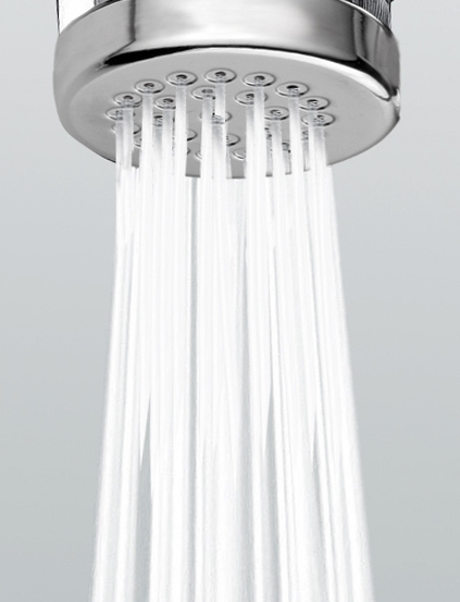 E57002 Гигиеническая лейка Nikita BOSSINI  - Вид №2