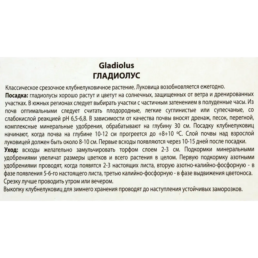Гладиолусы крупноцветковые «Кардинал», размер луковицы 10/12, 3 шт. 82118682 STLM-2056644 Santreyd  - Вид №2