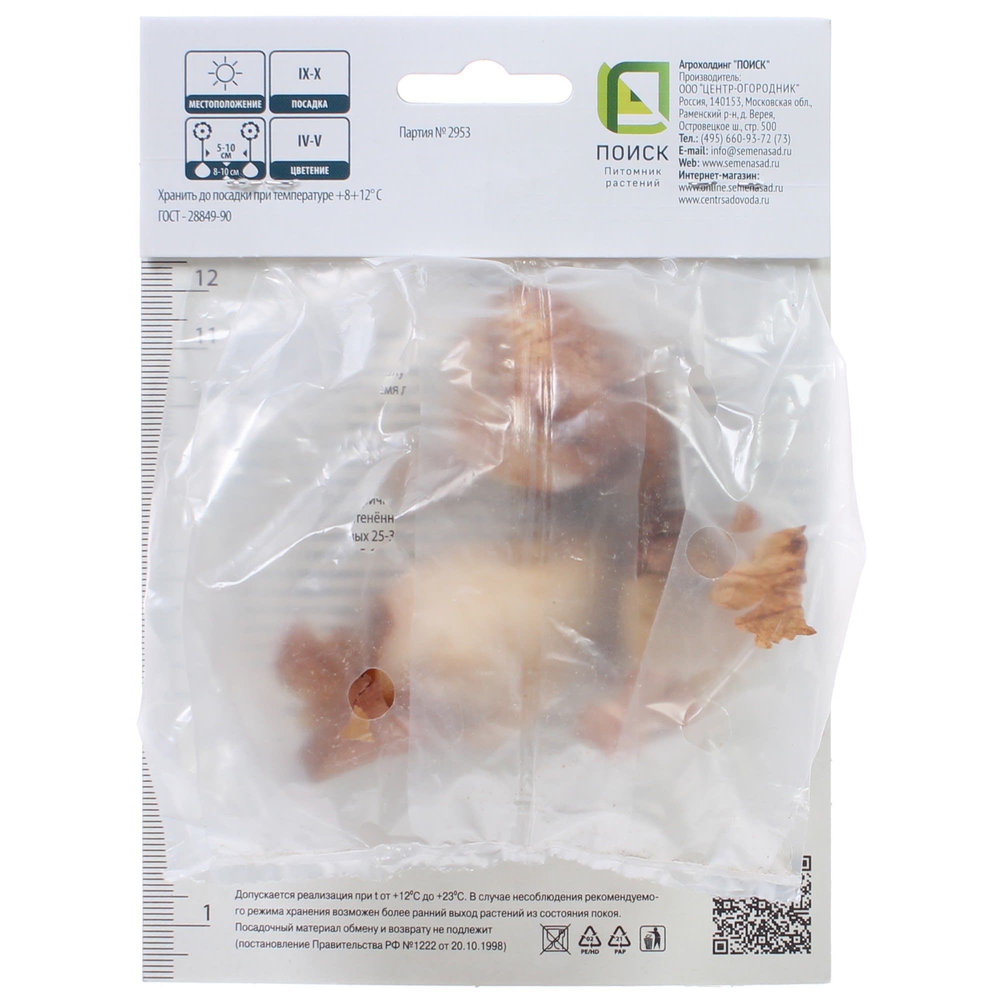 82000222 Тюльпан бахромчатый «Ханимун», высота 40 см, 3 шт Santreyd  - Вид №1