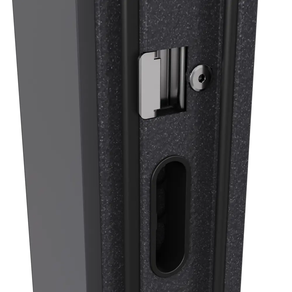 TOREX Гибсон Скай - входная металлическая дверь с зеркалом 89373490 STLM-0898224 - Вид №5