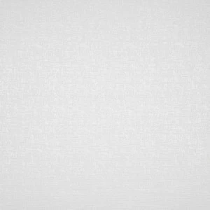 Рулон обоев PASO DOBLE PADO81800189. Основа аппликация