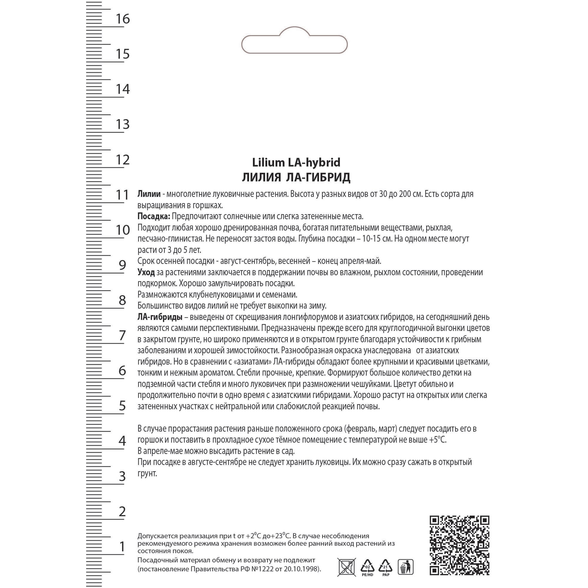 82530220 Лилии ЛА-гибриды Самур Santreyd  - Вид №1