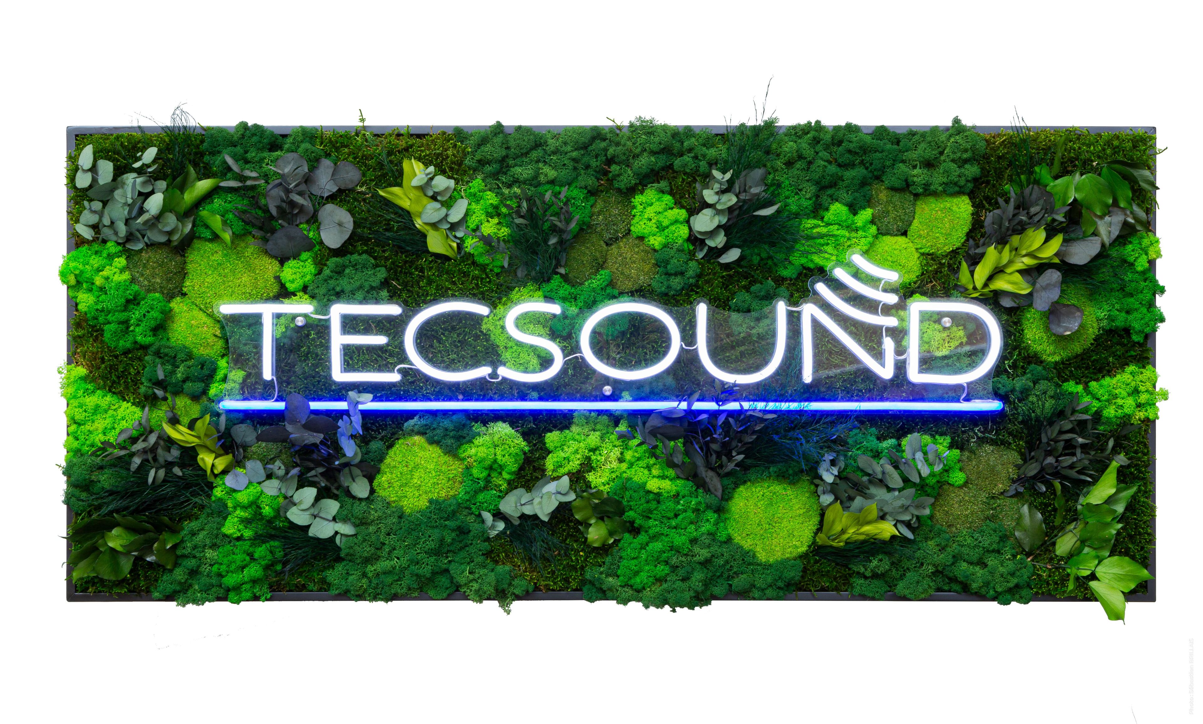 Растительная картина в лишайниках Tecsound PureKustik ARCH-00093539 - Вид №5