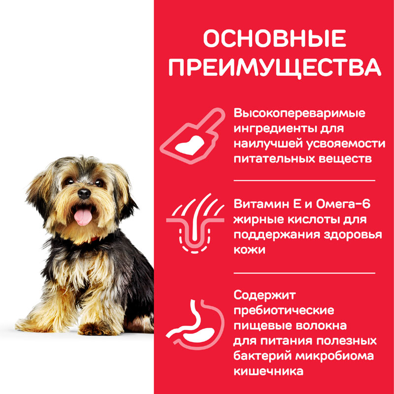 ПР0037505 Корм для собак Hill"s для миниатюрных пород с чувствительным пищеварением, курица сух. 3кг Hill's  - Вид №3