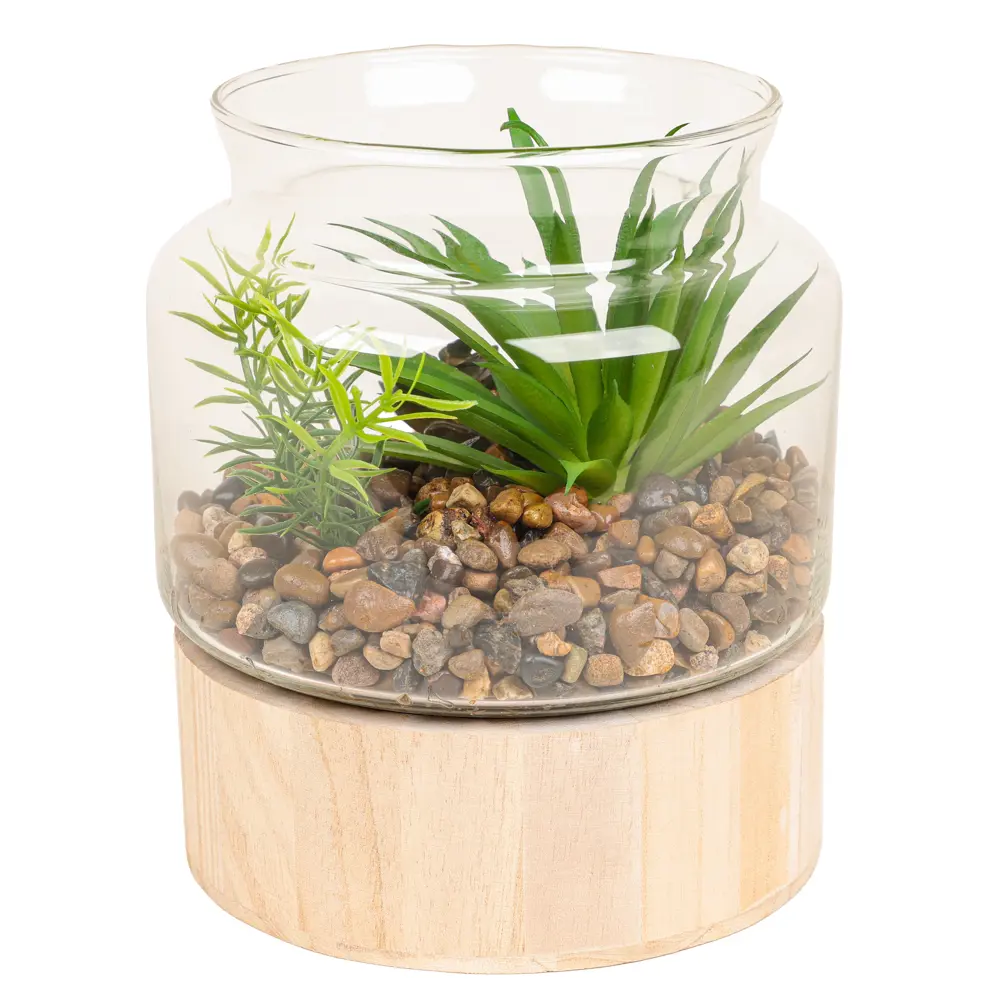 Декоративное растение Dream River в стеклянном горшке 17.5 см 89432357 STLM-1568177