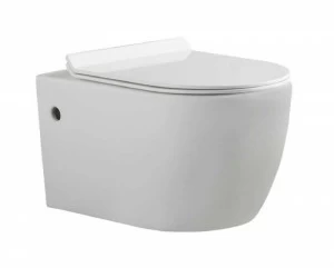 C21172UW-ENG Подвесной унитаз настенный Белый Bravat Gina Китай