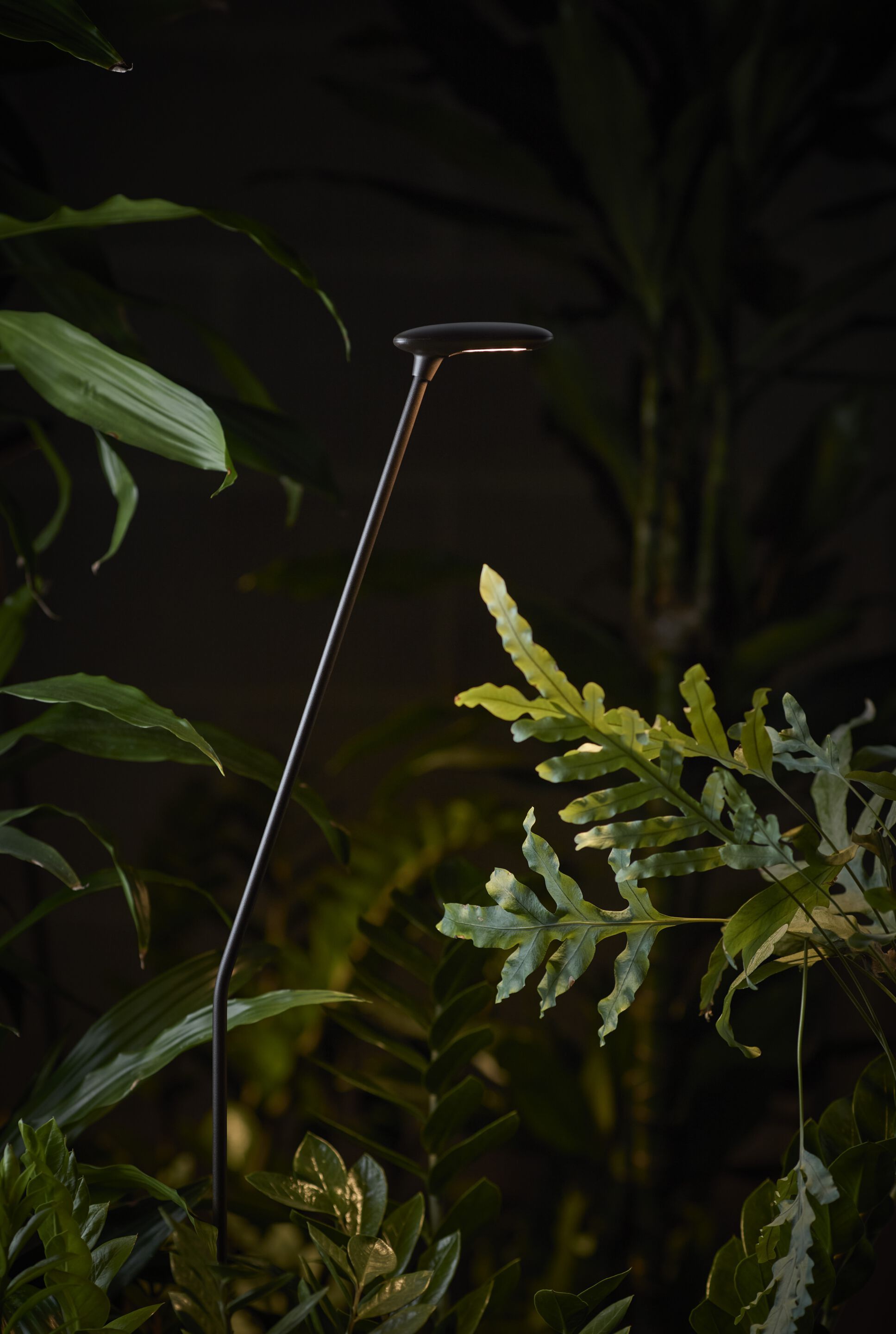 Светодиодный световой столб Bover птичка ARCH-00072844 - Вид №1