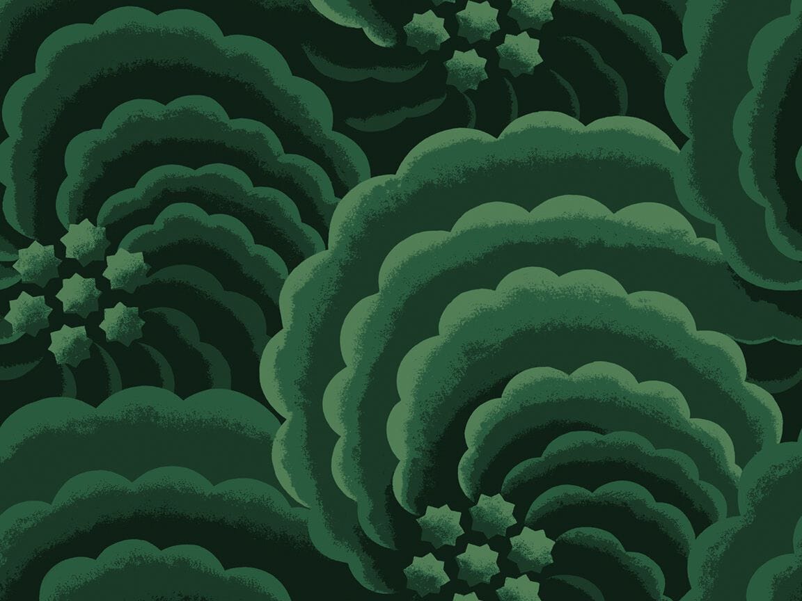 Обои с цифровой печатью Inkiostro Bianco ROSA NERA ARCH-00139534 - Вид №2