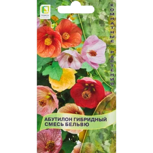 Семена цветов Поиск абутилон гибридный Бельвю смесь 89346581 STLM-2147680