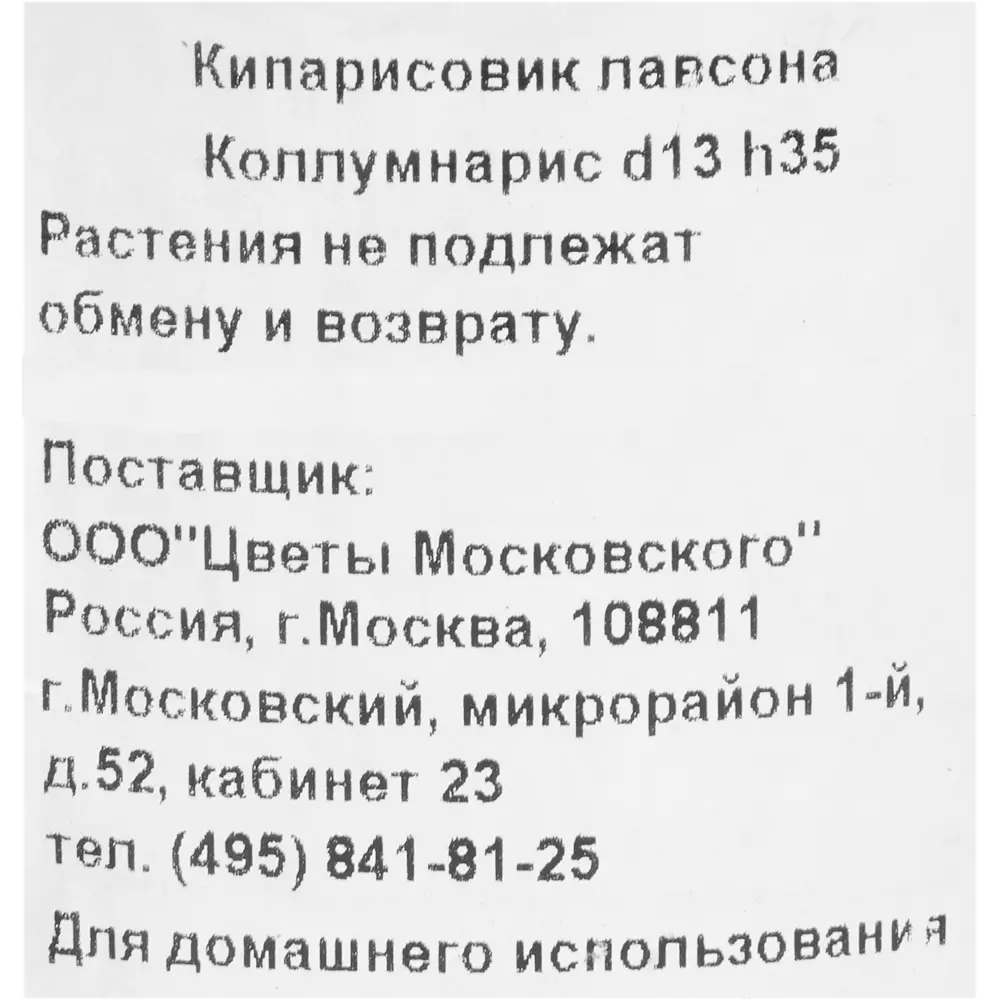 Кипарисовик Лавсона «Коллумнарис» 1 л h35 см 82219016 STLM-2053563 Santreyd  - Вид №1