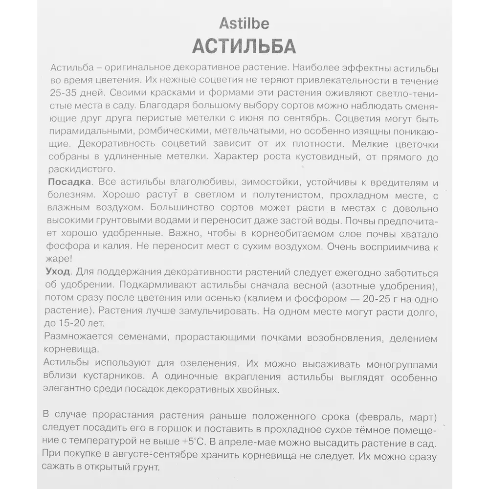 Астильба японская «Кобленц», размер луковицы I 82319590 STLM-2087331 Santreyd  - Вид №2