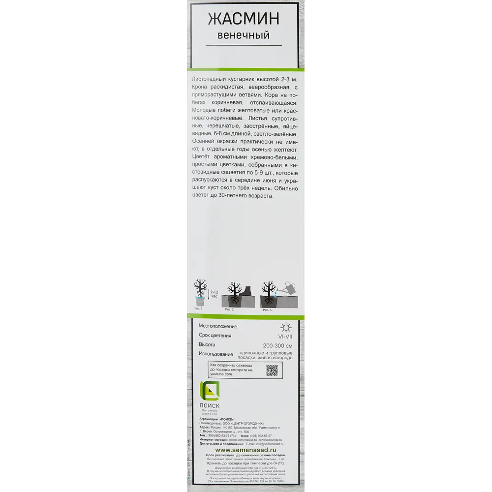 Жасмин венечный h100 см 86543748 STLM-2107517 Santreyd  - Вид №2