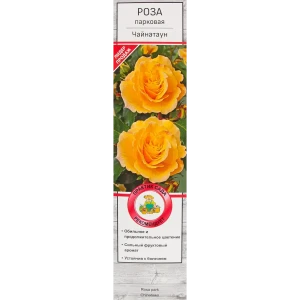 Роза парковая Чайнатаун в тубе Поиск Инвест 18348726 STLM-2201783