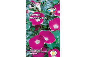 18410449 Семена Ипомея Малиновка 00000014970 СеДек