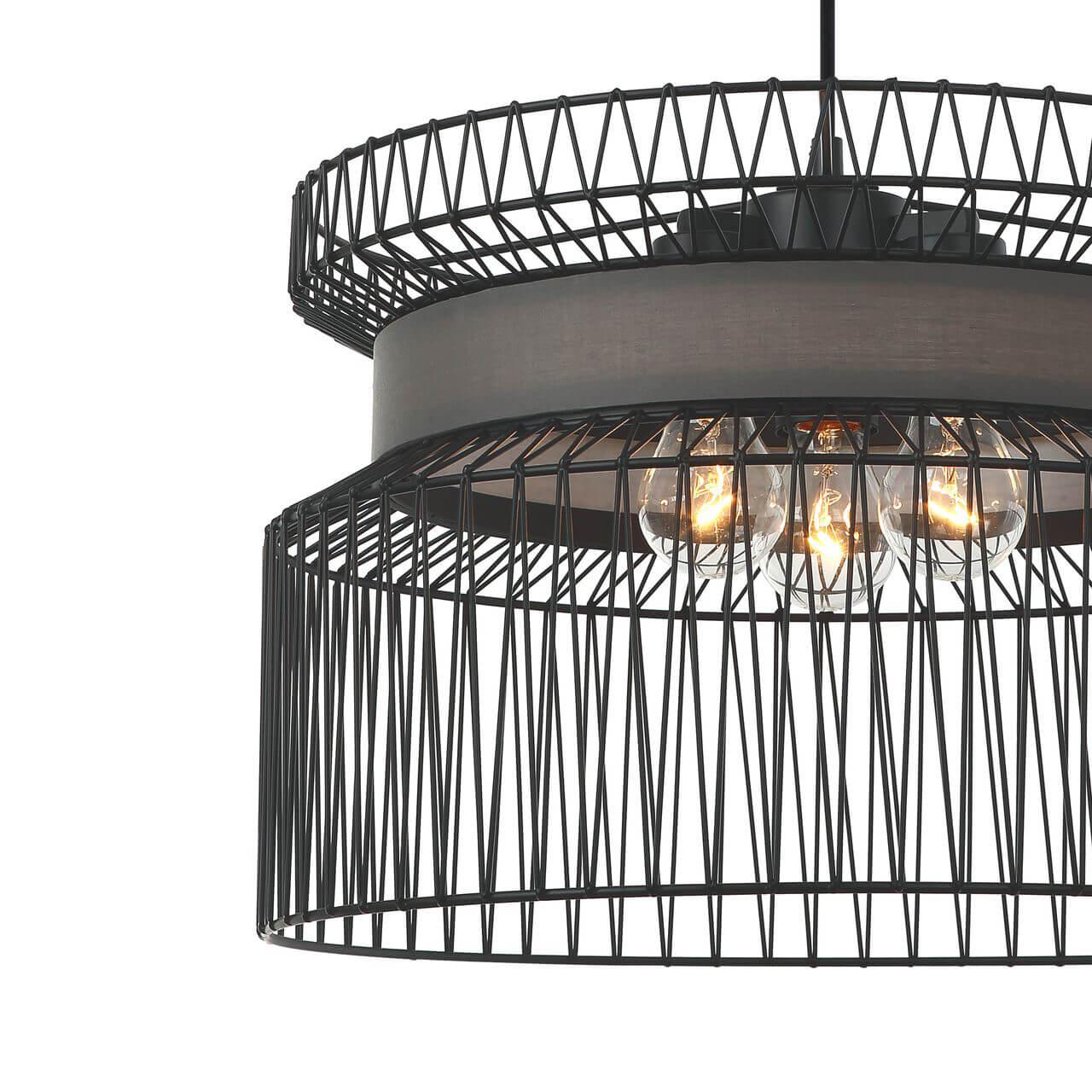 Подвесная люстра Favourite Korb 2363-2P FAVOURITE KORB 312748 Черный  - Вид №1