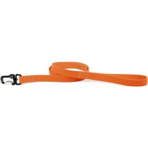 ПР0047073 Поводок для собак EVOLUTOR 42134 оранжевый 25ммх3м COLLAR