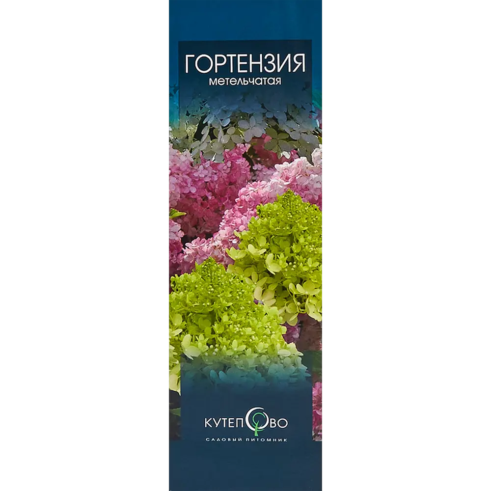 Гортензия метельчатая «Пинк Леди» в коробке 82155614 STLM-2212391 Santreyd 