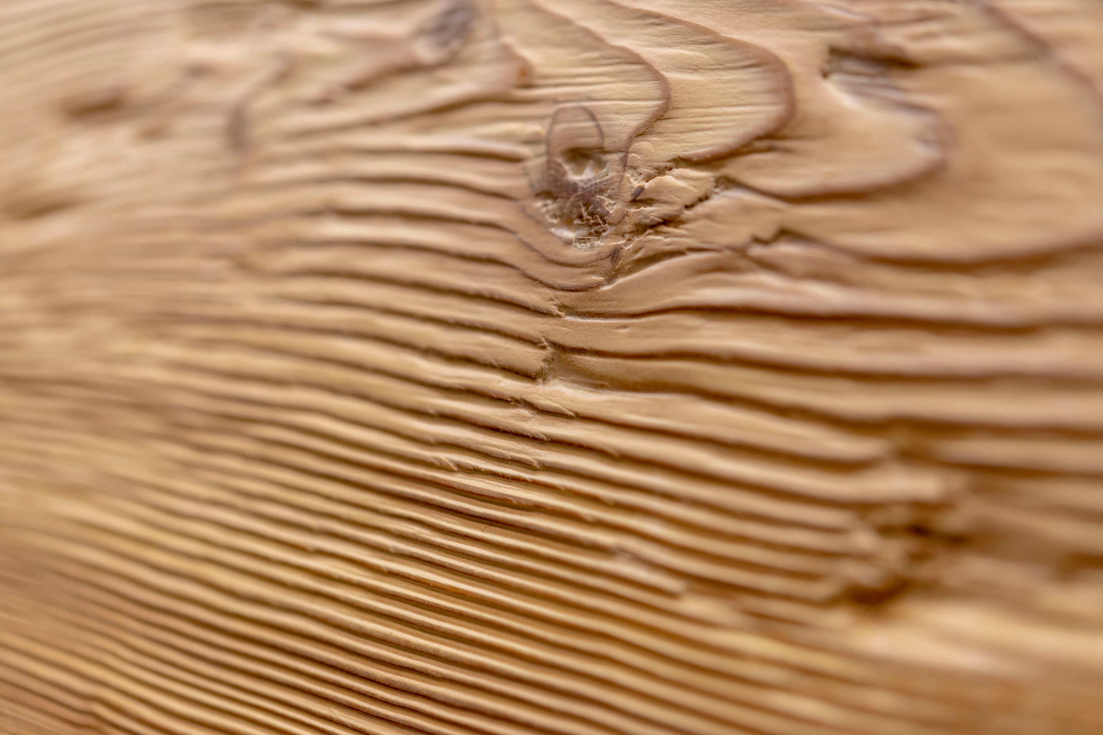 Яркая декоративная панель из лиственницы Mobart Ben Woodframe ARCH-00081955 - Вид №5