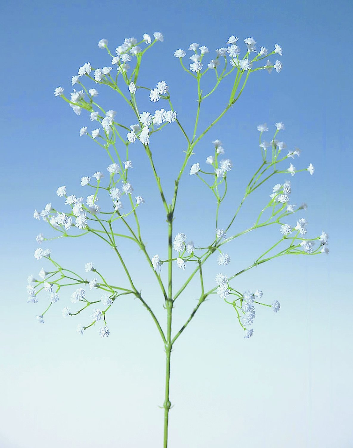 3086 777 a2 Faux Gypsophila, 65 см, белый H-andreas  - Вид №2