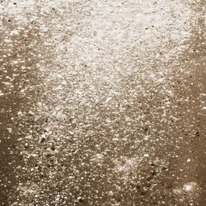 Арт-панель на холсте Alex Turco Underwater Deeper In Cream