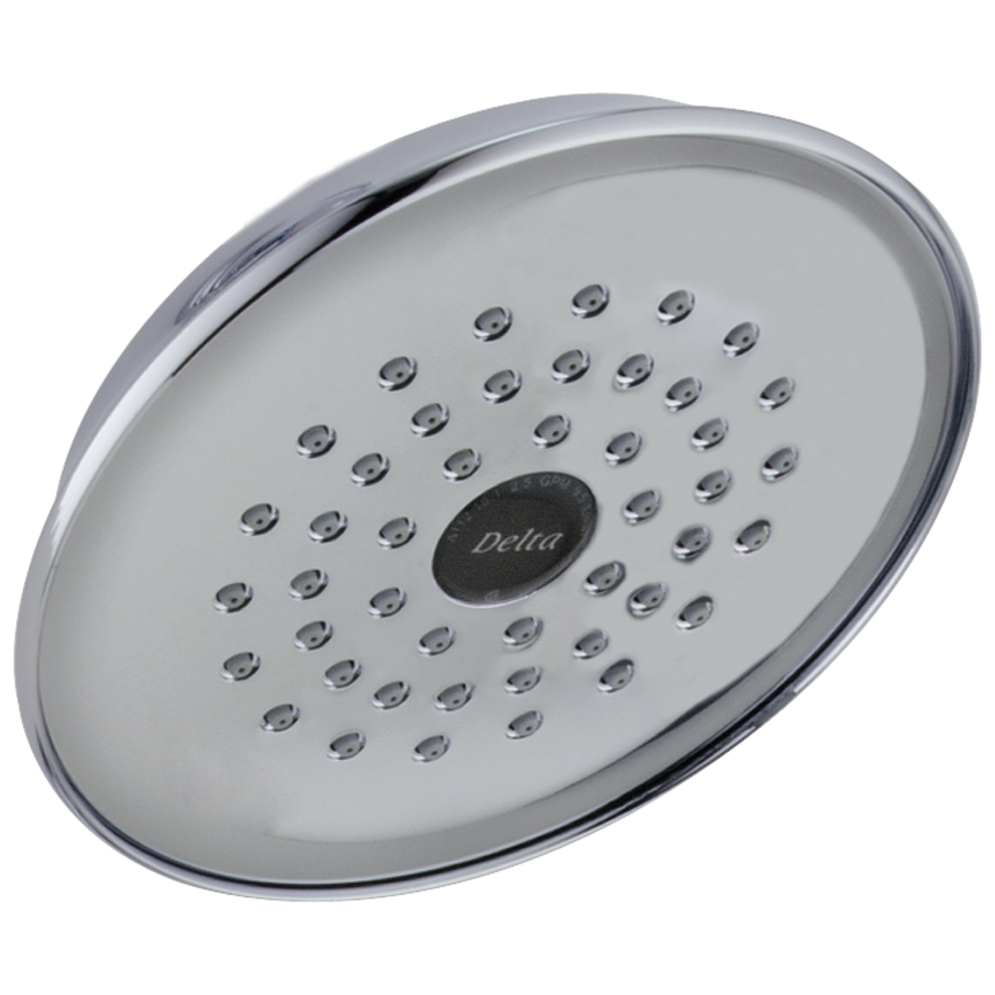 RP42578 Душевая лейка Raincan с одинарной настройкой Delta Faucet Universal Showering Хром 