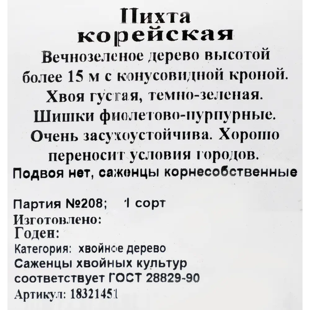 Пихта микс 9x30 см в коробке 18321451 STLM-2080246 Santreyd  - Вид №1