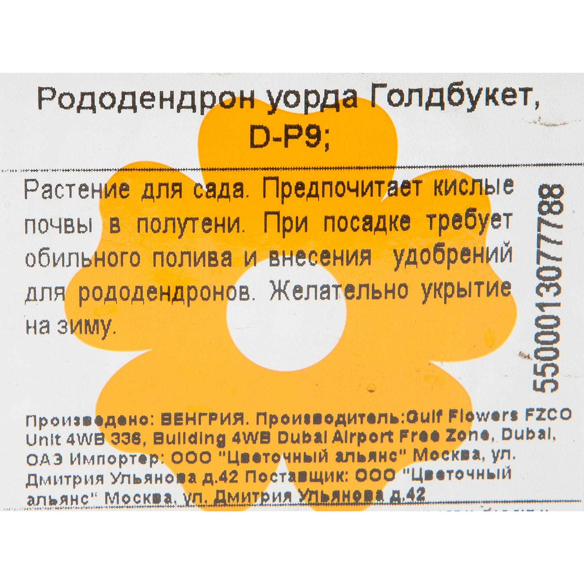 82601847 Рододендрон Уорда «Голдбукетт» 9x20 см Santreyd 