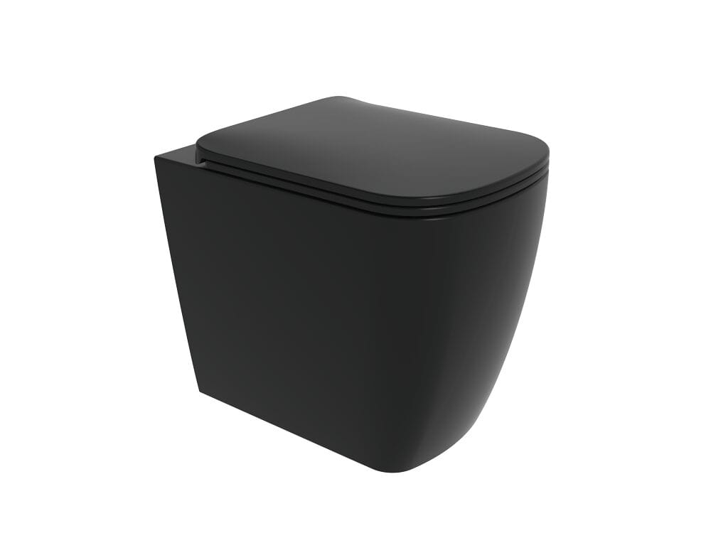 Напольный керамический туалет Ceramica Flaminia Play ARCH-00000024 - Вид №3