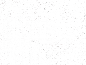 Equipo DRT Обивочная ткань из полиэстера Bukhara 21615