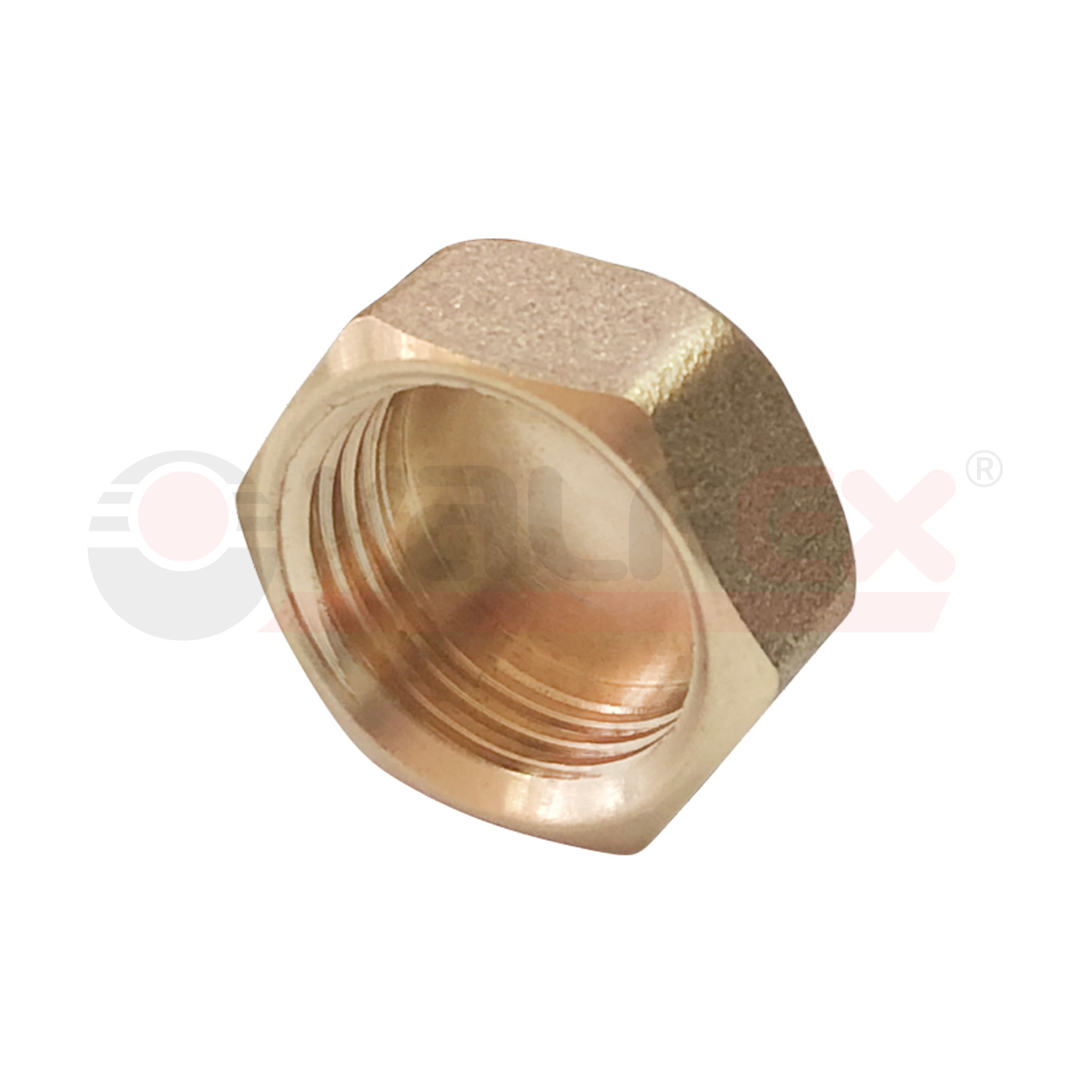 VF.590.L.100 Valfex Заглушка резьбовая (внутр.) 