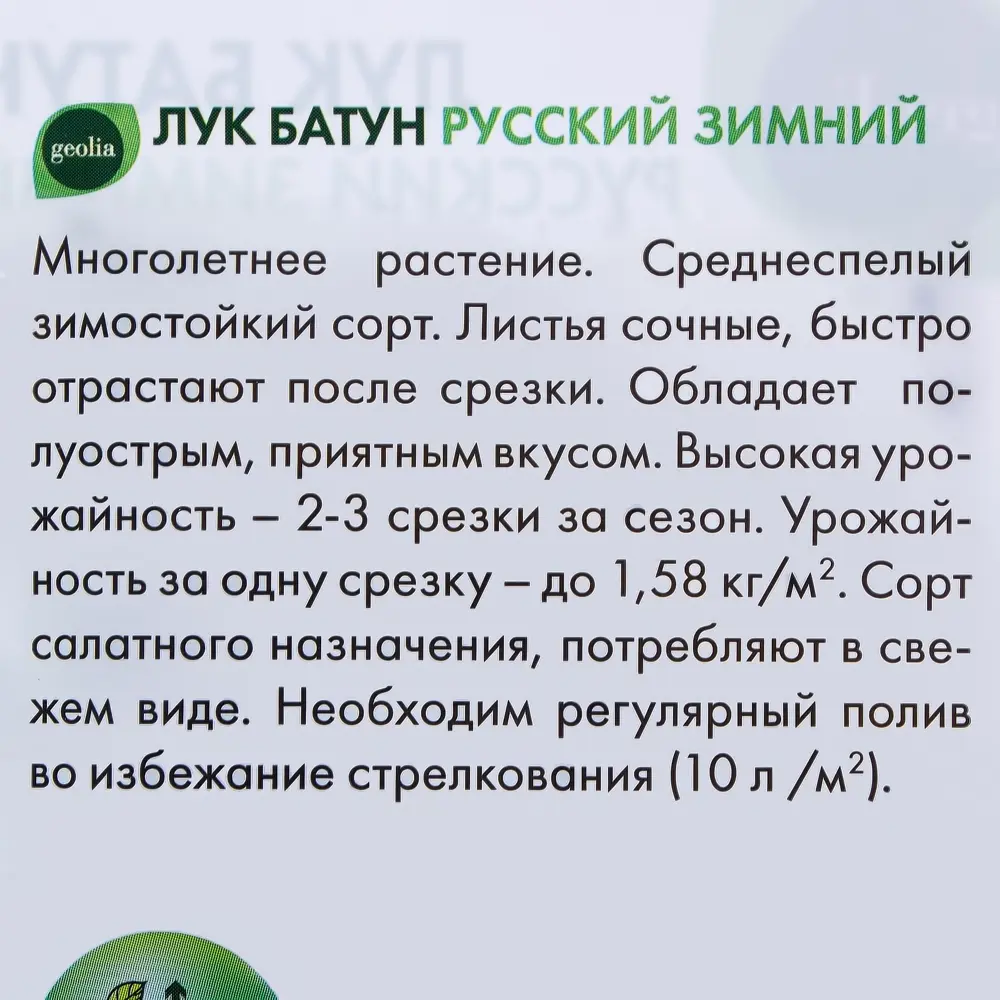 Лук батун Русский зимний GEOLIA - многолетний витаминный суперфуд 17584516 STLM-0008305 - Вид №2