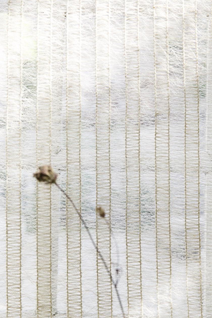 Élitis Полосатая полиэфирная ткань для штор sun-id-1512106 - Вид №7