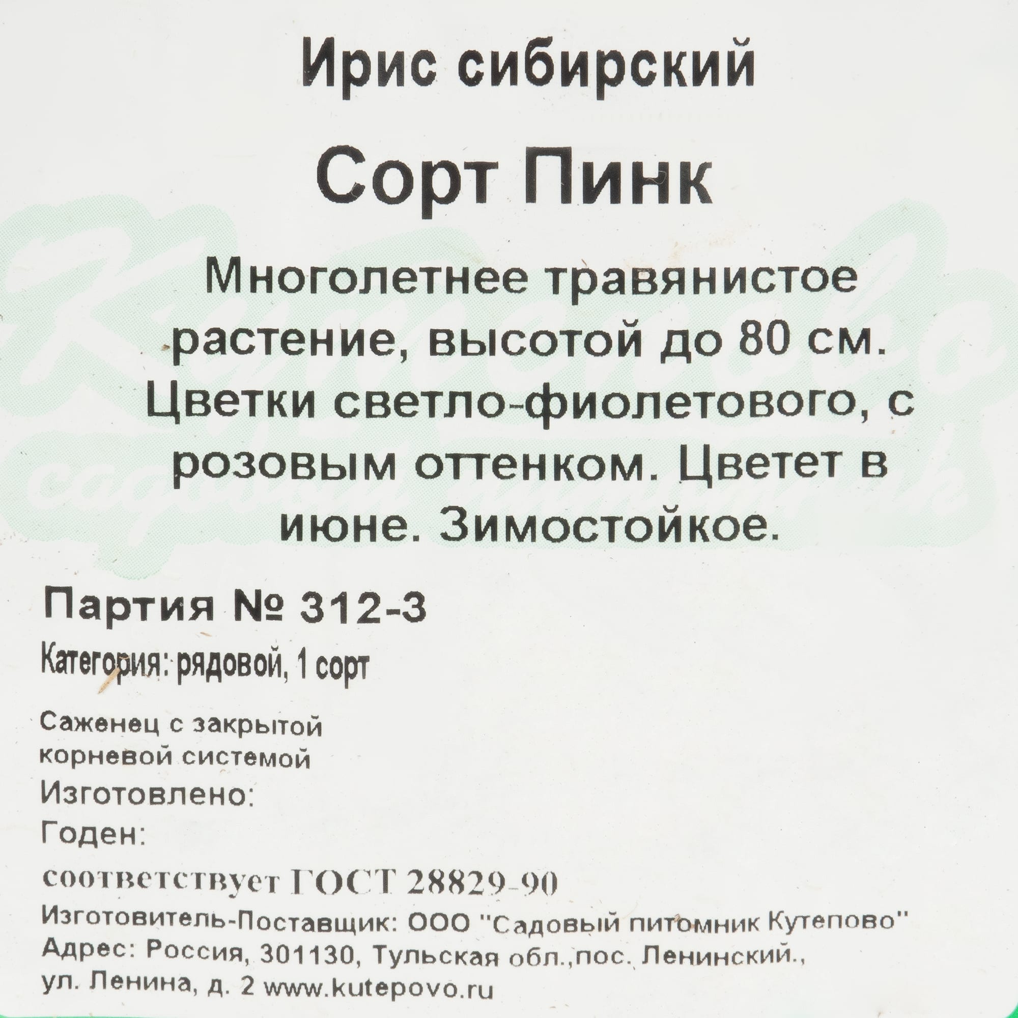 81954817 Ирис сибирский С1 «Пинк» Santreyd  - Вид №1