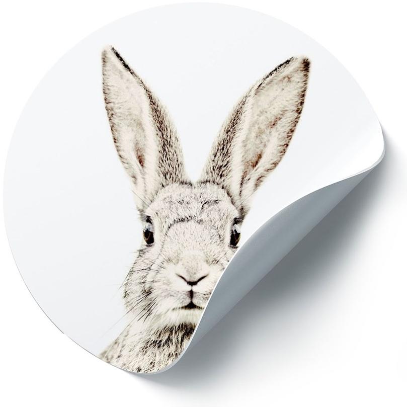 Groovy Magnets Стикер стены с магнитным рисунком Animal sun-id-1482110 - Вид №2