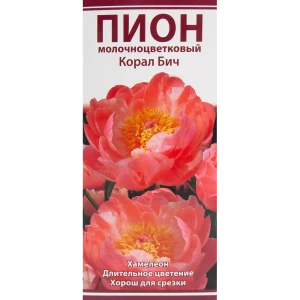 Пион молочноцветковый травянистый Корал Бич