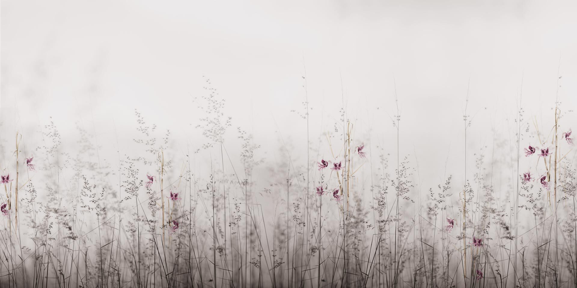 Обои с цветочным узором Rimura 2024 ARCH-00006180 - Вид №2