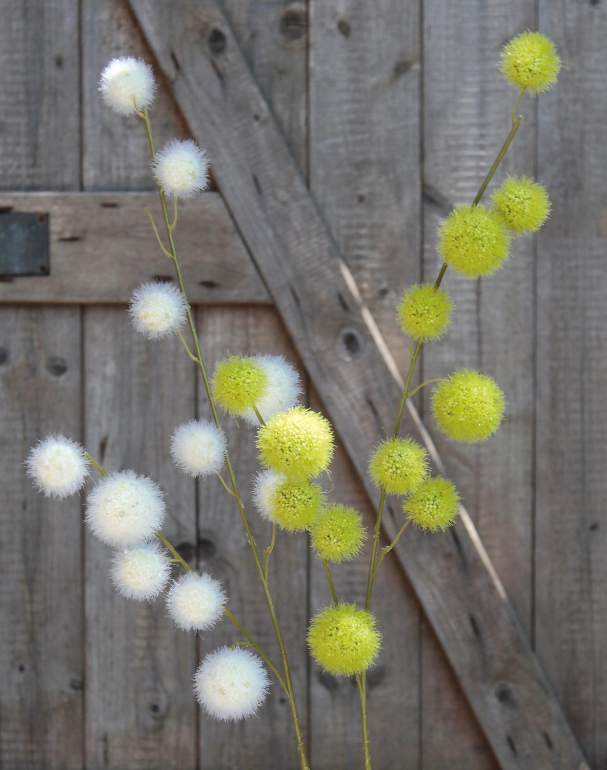 5535 778 a3 Искусственный спрей из плодов гомфокарпуса, 103 см, бежево-белый H-andreas  - Вид №3