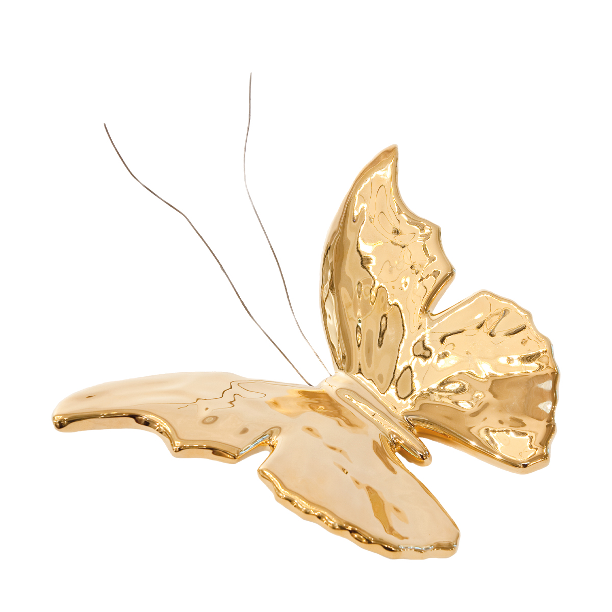 Vanessa Керамическая бабочка Visionnaire  - Вид №3