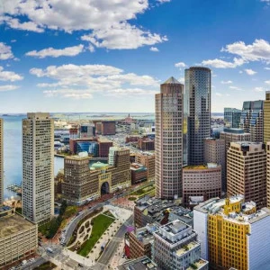 WP00396 Фотообои Verol Фотообои decoline 1х1 м