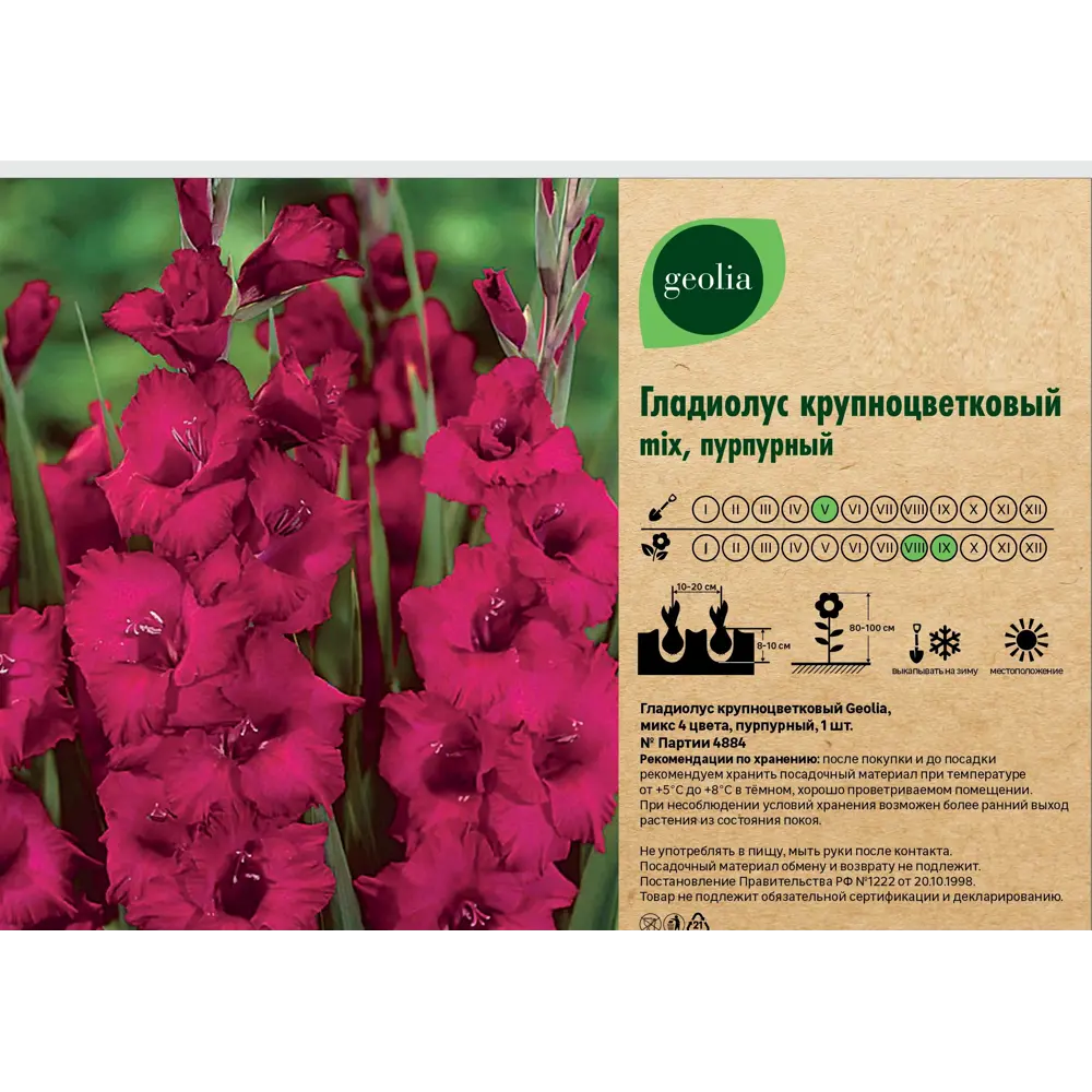 Гладиолус Geolia крупноцветковый микс 1 шт 86408555 STLM-2028454  - Вид №3