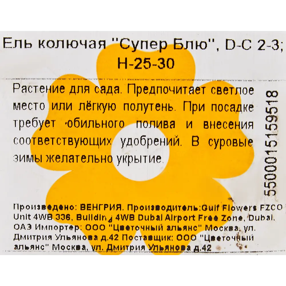 Ель колючая «Супер Блю» 17x25 см 82601625 STLM-2193129 Santreyd  - Вид №2