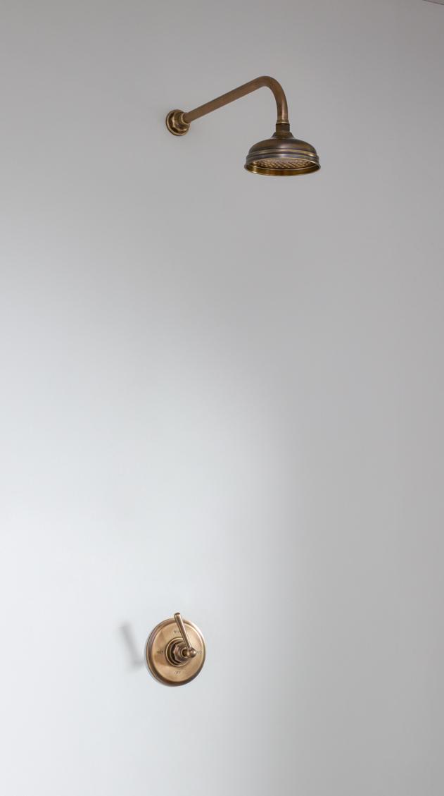 Скрытая душевая кабина Bill - Тип A - розетка 6 дюймов Bill & Ben The water monopoly sun-id-2132327