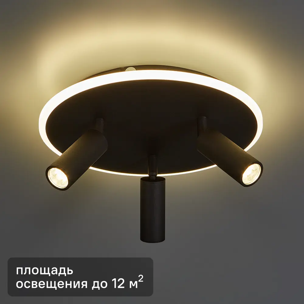Светильник потолочный 20046SMA/03 цвет черный Escada STLM-2049867