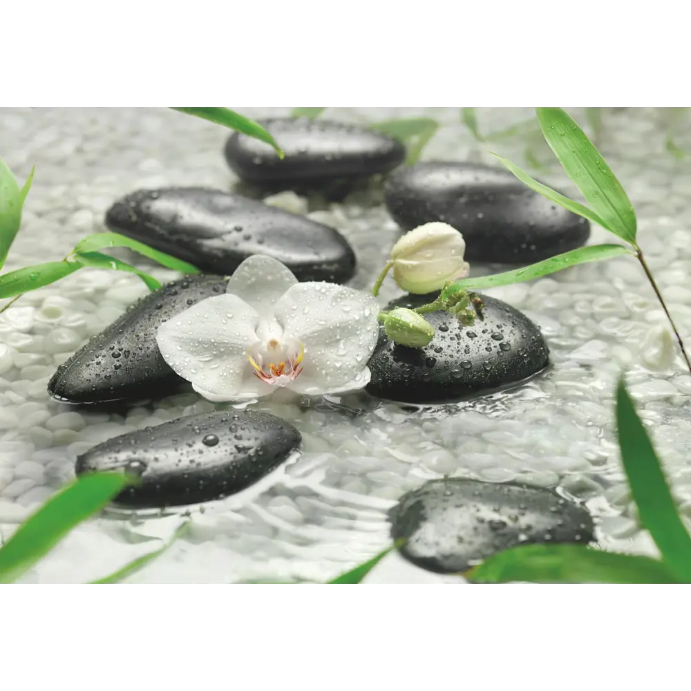 Фотообои бумажные, 368х254 см, KOMAR Орхидея STLM-2095546